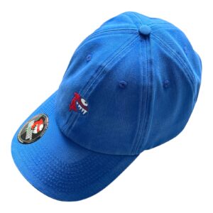 BONE KARPPOVIK AZUL ESTONADO